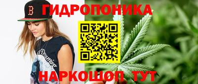 2c-b Гусиноозёрск