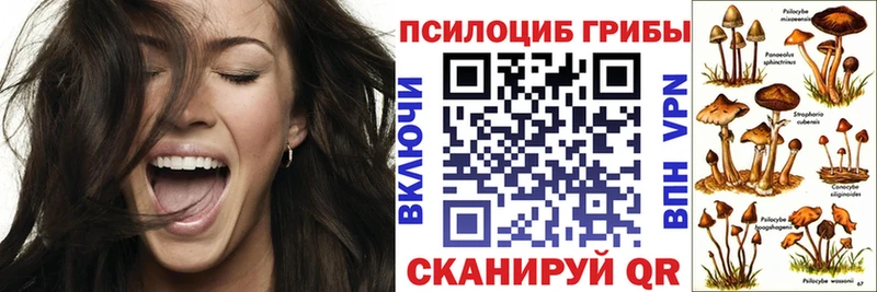 Псилоцибиновые грибы Psilocybine cubensis  ОМГ ОМГ зеркало  Орск 