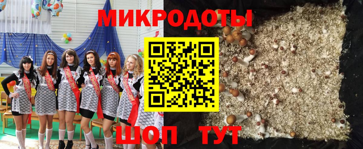 Псилоцибиновые грибы GOLDEN TEACHER Орск